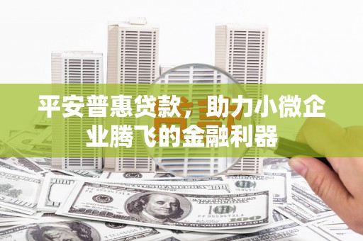 洪雅平安普惠贷款，助力小微企业腾飞的金融利器