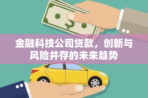 洪雅金融科技公司贷款，创新与风险并存的未来趋势
