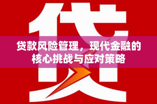 洪雅贷款风险管理，现代金融的核心挑战与应对策略