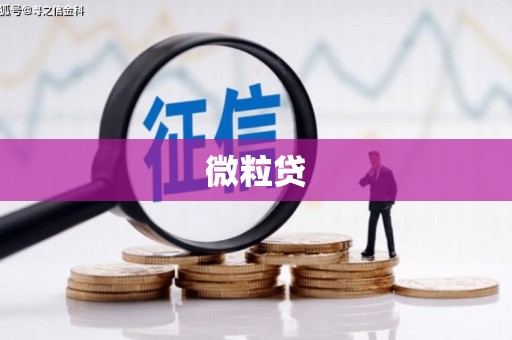 洪雅微粒贷