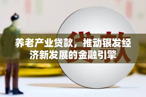 洪雅养老产业贷款，推动银发经济新发展的金融引擎