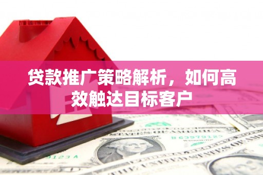 洪雅贷款推广策略解析，如何高效触达目标客户