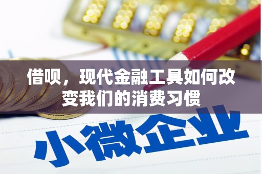 洪雅借呗，现代金融工具如何改变我们的消费习惯