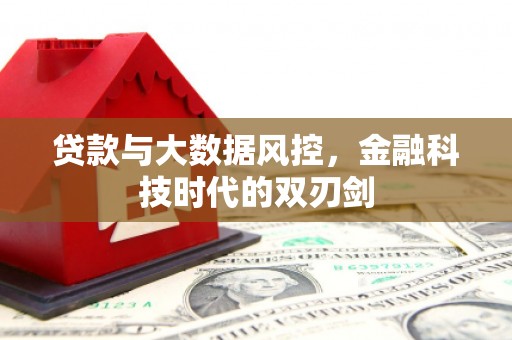 洪雅贷款与大数据风控，金融科技时代的双刃剑