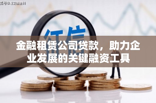 洪雅金融租赁公司贷款，助力企业发展的关键融资工具