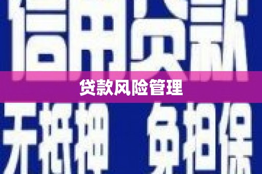 洪雅贷款风险管理