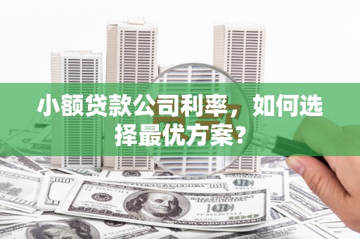 洪雅小额贷款公司利率，如何选择最优方案？