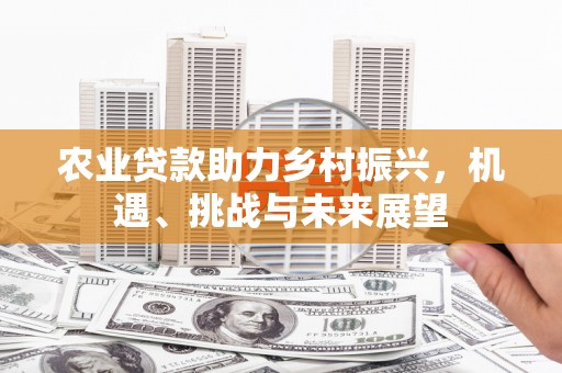洪雅农业贷款助力乡村振兴，机遇、挑战与未来展望