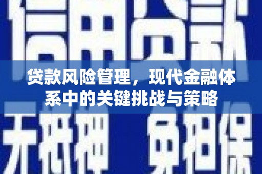 洪雅贷款风险管理，现代金融体系中的关键挑战与策略