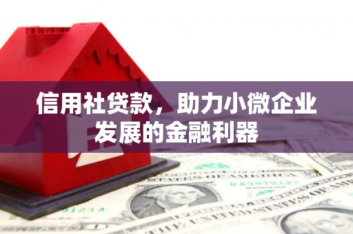洪雅信用社贷款，助力小微企业发展的金融利器