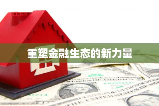 洪雅重塑金融生态的新力量