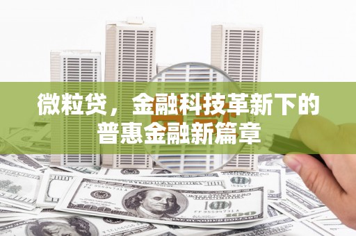 洪雅微粒贷，金融科技革新下的普惠金融新篇章