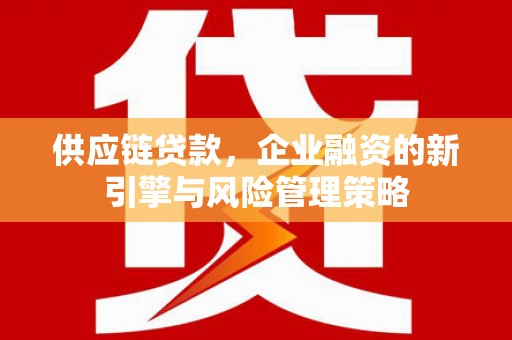 洪雅供应链贷款，企业融资的新引擎与风险管理策略