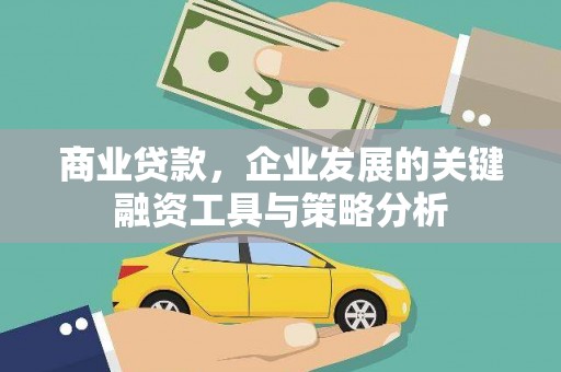 洪雅商业贷款，企业发展的关键融资工具与策略分析
