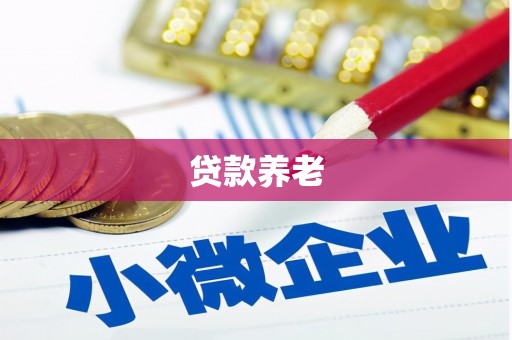 洪雅贷款养老