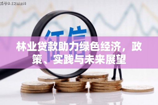 洪雅林业贷款助力绿色经济，政策、实践与未来展望