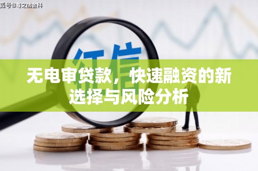 洪雅无电审贷款，快速融资的新选择与风险分析