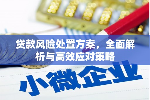 洪雅贷款风险处置方案，全面解析与高效应对策略