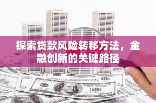 洪雅探索贷款风险转移方法，金融创新的关键路径
