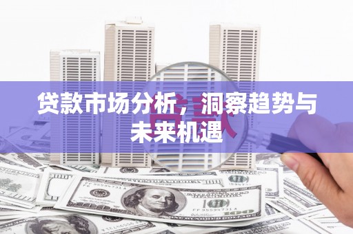 洪雅贷款市场分析，洞察趋势与未来机遇