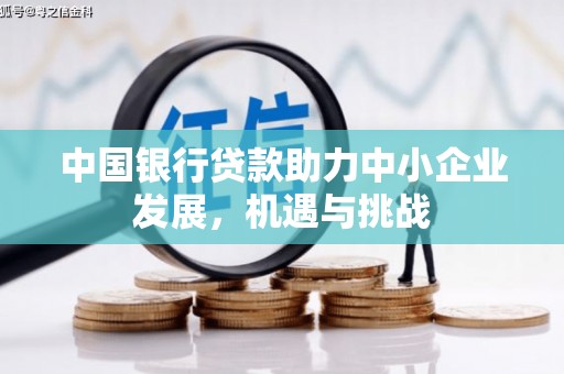 洪雅中国银行贷款助力中小企业发展，机遇与挑战