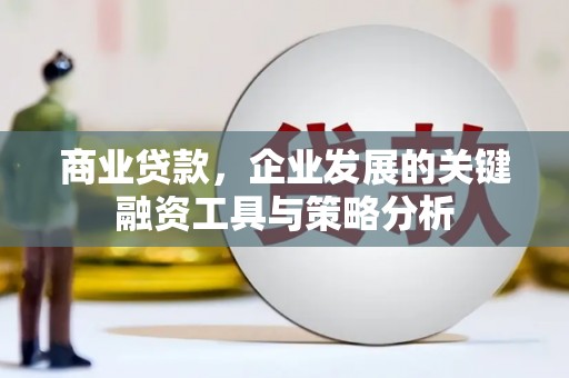 洪雅商业贷款，企业发展的关键融资工具与策略分析