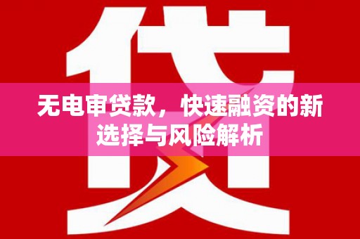 洪雅无电审贷款，快速融资的新选择与风险解析
