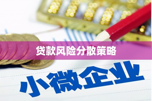 洪雅贷款风险分散策略