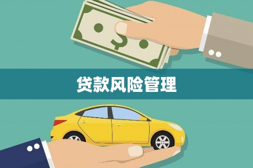 洪雅贷款风险管理