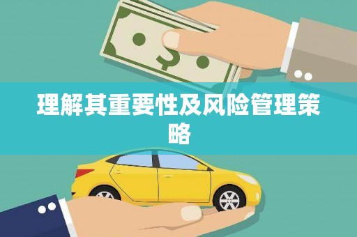 洪雅理解其重要性及风险管理策略