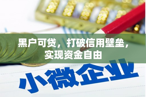 洪雅黑户可贷，打破信用壁垒，实现资金自由