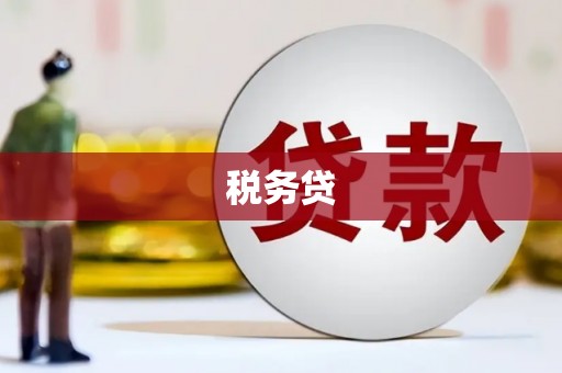 洪雅税务贷