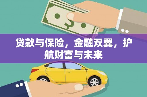 洪雅贷款与保险，金融双翼，护航财富与未来