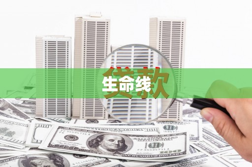 洪雅生命线
