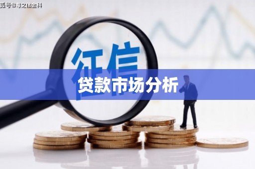 洪雅贷款市场分析