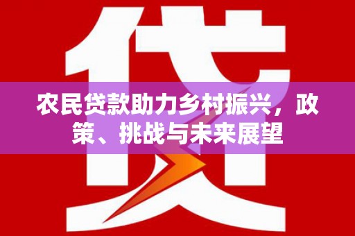 洪雅农民贷款助力乡村振兴，政策、挑战与未来展望
