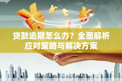 洪雅贷款逾期怎么办？全面解析应对策略与解决方案