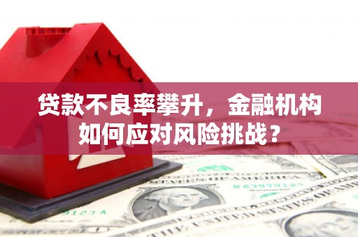 洪雅贷款不良率攀升，金融机构如何应对风险挑战？