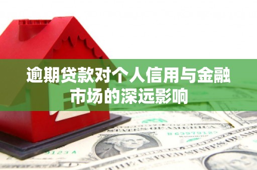 洪雅逾期贷款对个人信用与金融市场的深远影响