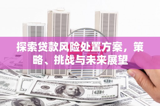 洪雅探索贷款风险处置方案，策略、挑战与未来展望