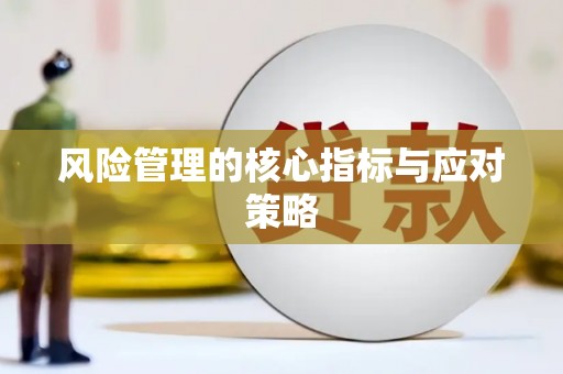 洪雅风险管理的核心指标与应对策略