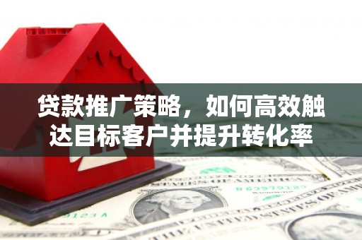 洪雅贷款推广策略，如何高效触达目标客户并提升转化率