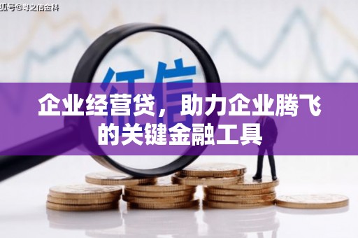 洪雅企业经营贷，助力企业腾飞的关键金融工具