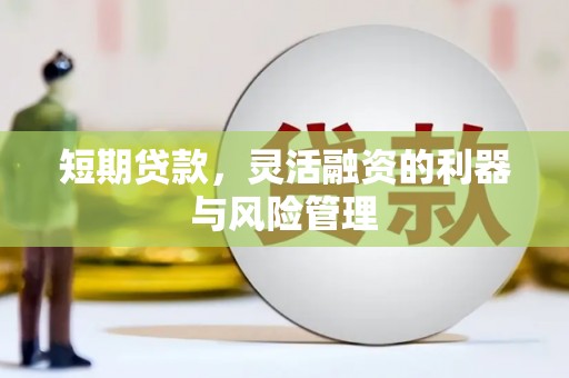 洪雅短期贷款，灵活融资的利器与风险管理