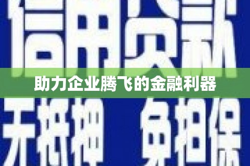洪雅助力企业腾飞的金融利器