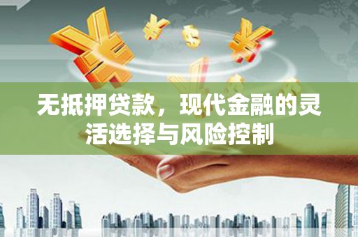 洪雅无抵押贷款，现代金融的灵活选择与风险控制