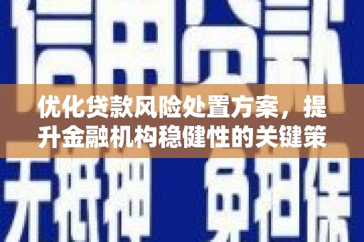 洪雅优化贷款风险处置方案，提升金融机构稳健性的关键策略