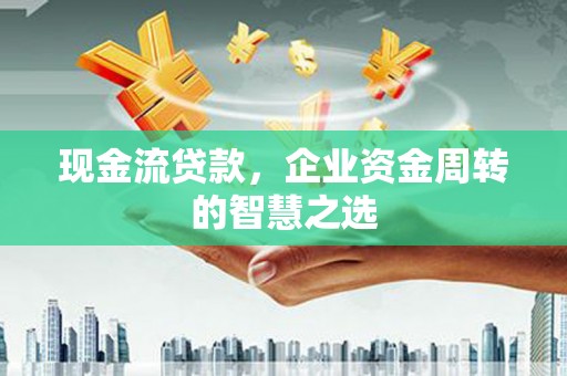 洪雅现金流贷款，企业资金周转的智慧之选
