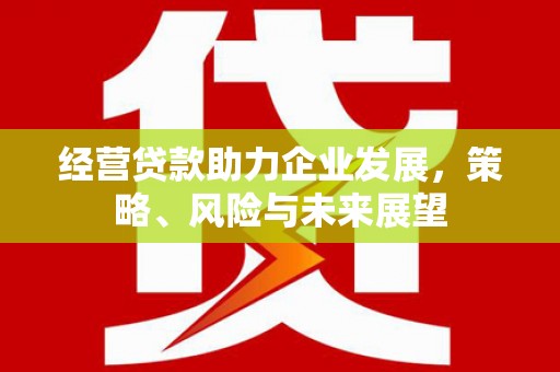 洪雅经营贷款助力企业发展，策略、风险与未来展望