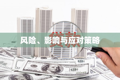 洪雅风险、影响与应对策略